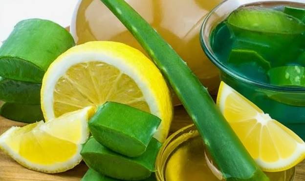 Крупный план алоэ вера, лимона и геля