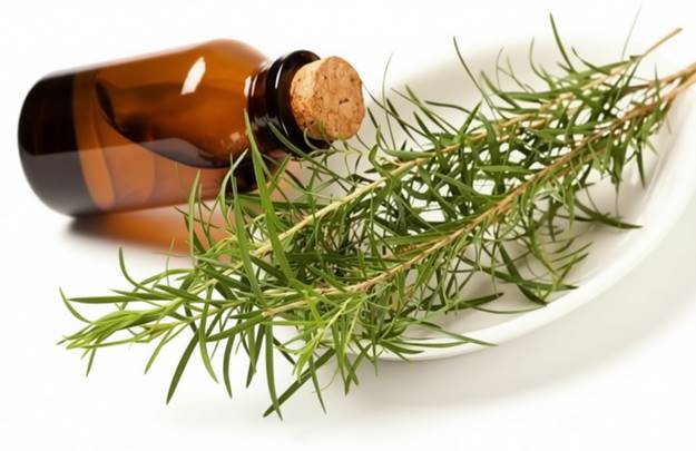 Бутылочка с пробкой и ветка розмарина