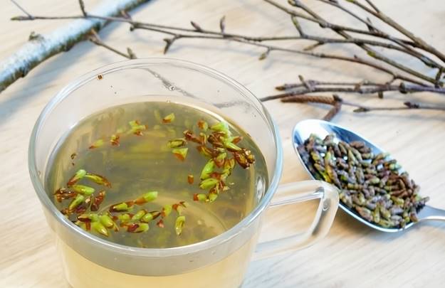 Берёзовые почки против себореи: как бетулин борется с зудом, шелушением и воспалением