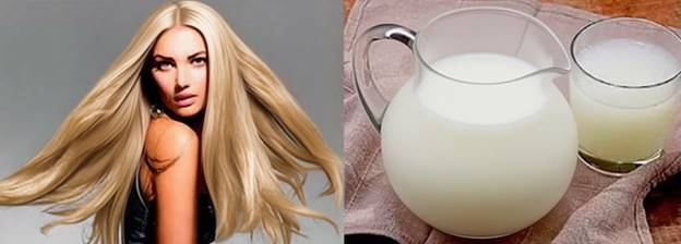 Длинные светлые волосы и кувшин простокваши для ухода