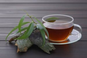 Стакан отвара коры ивы и свежие веточки растения