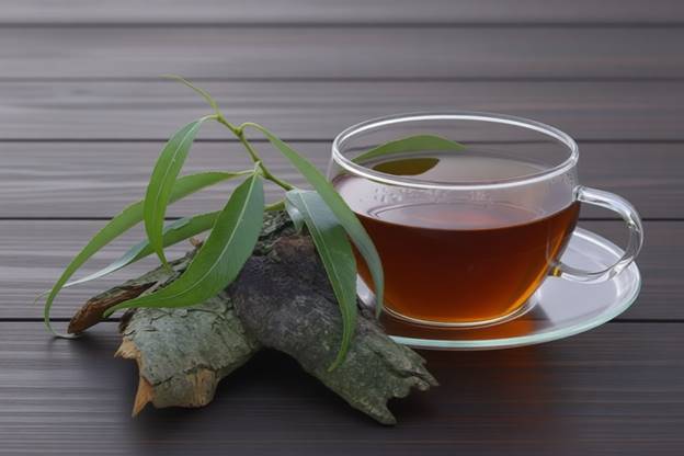 Стакан отвара коры ивы и свежие веточки растения