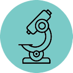 snapedit 1762284885745